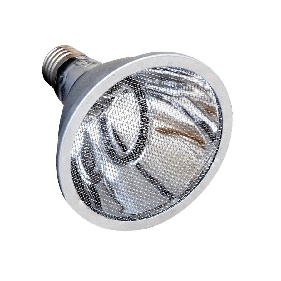 Close front view of an Arcadia deep heat projector bulb