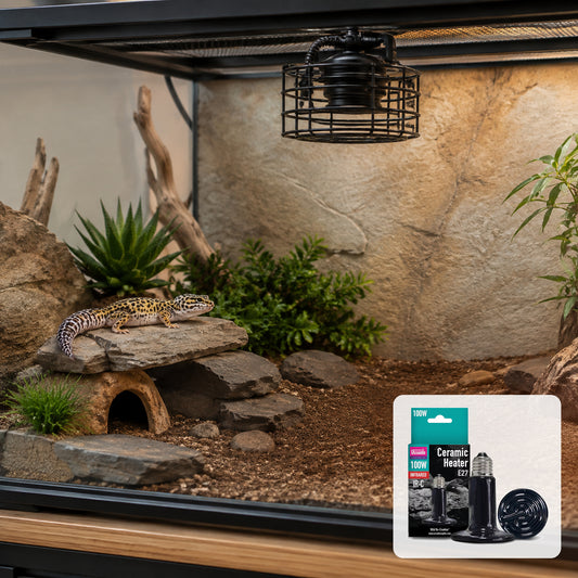 Leopard gecko in a safely heated vivarium with Arcadia Ceramic Heater 100W pack shown