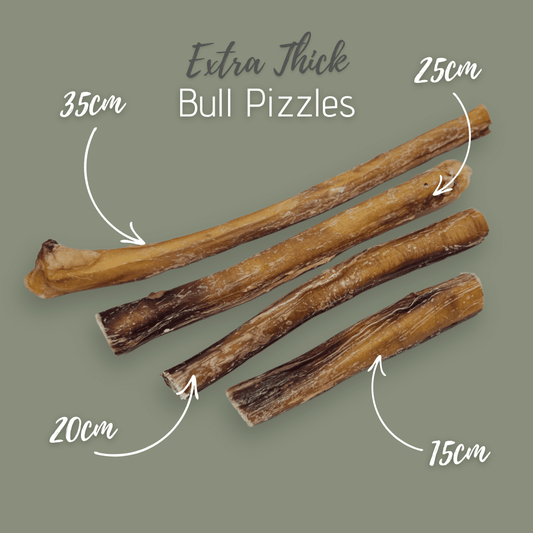 Atlas & Tail Bull Pizzle
