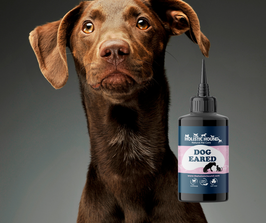 The Holistic Hound Dog Eared