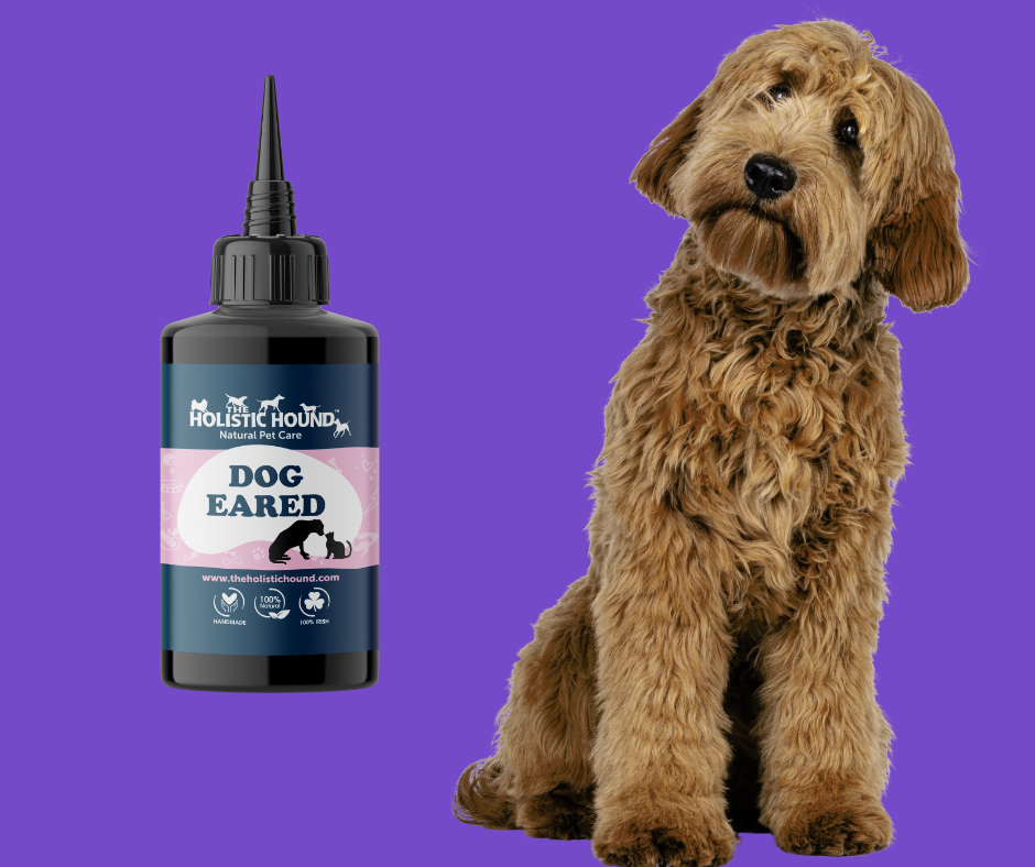 The Holistic Hound Dog Eared