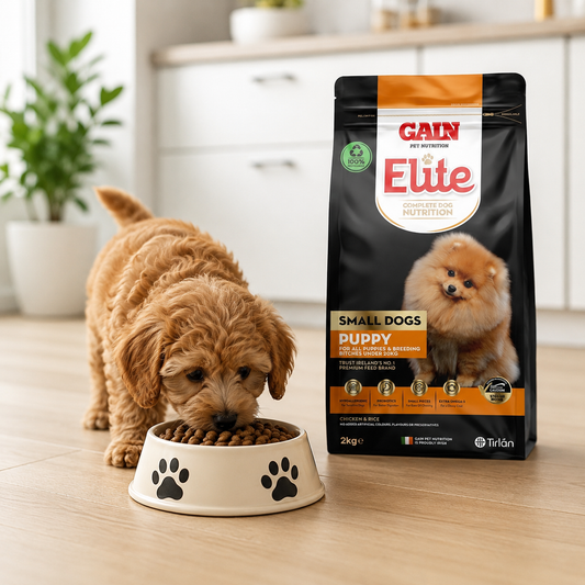 GAIN Elite Small Dogs Puppy