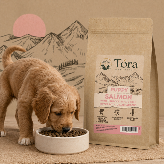 Tora Instinct Salmon Puppy Dog Food
