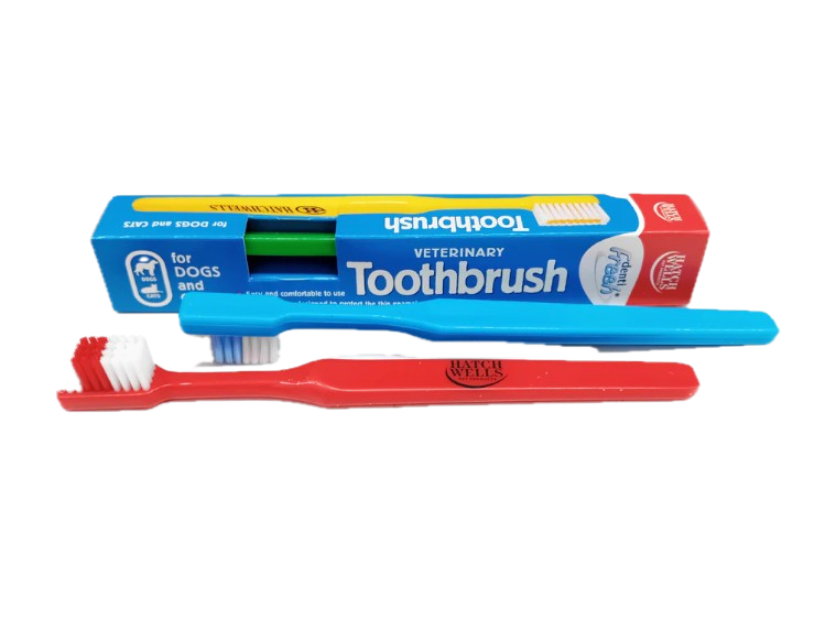 Hatchwells DentiFresh Veterinary Toothbrush