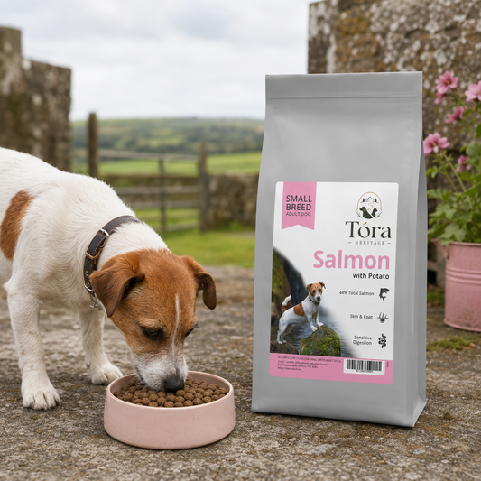 Tora Heritage Salmon Small Breed Adult Dog Food