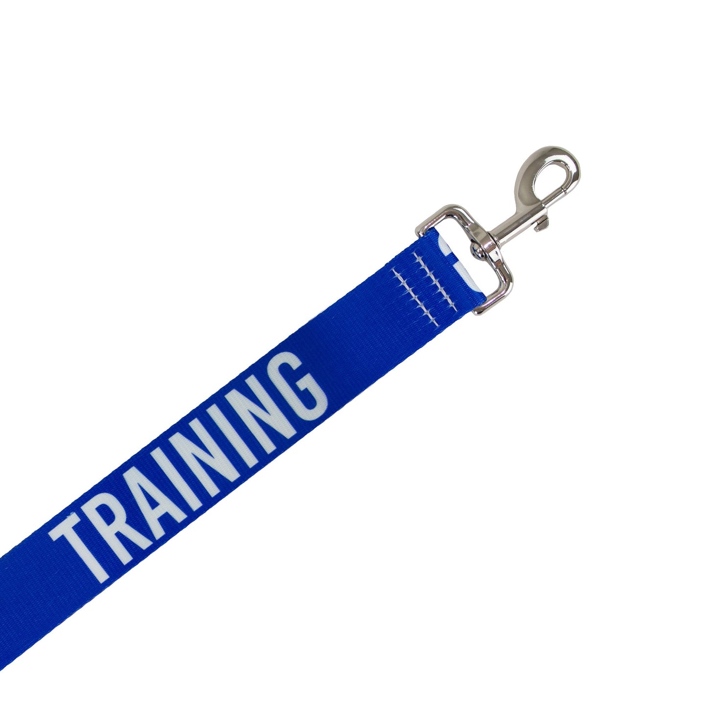 Close-up of the blue Ancol TRAINING lead webbing, stitching and metal trigger hook