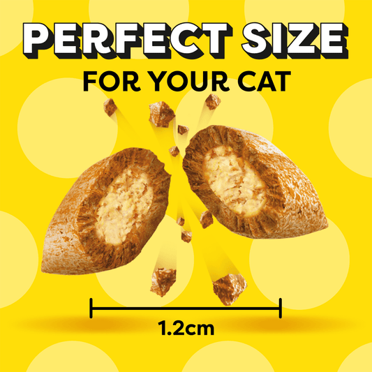 DREAMIES cat treats crunchy outside soft inside size illustration