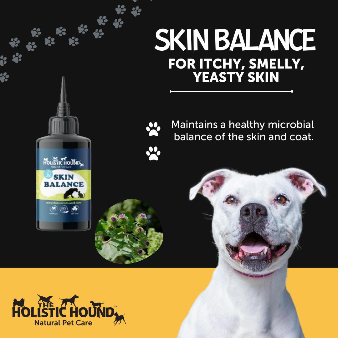 The Holistic Hound Fundamentals Skin Balance