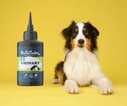 The Holistic Hound Fundamentals Urinary