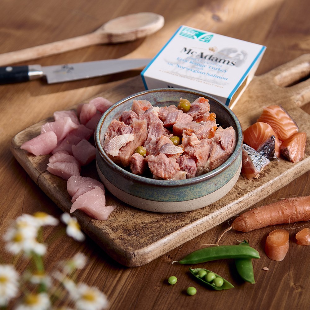 McAdams Turkey with Norwegian Salmon wet dog food served in a bowl