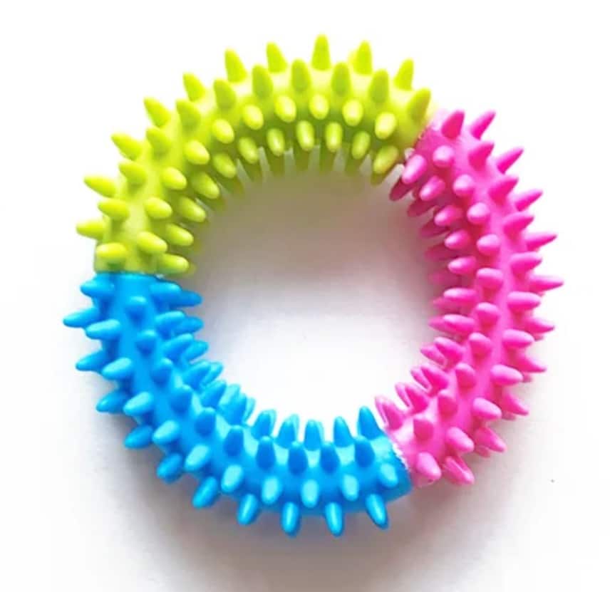 CC Rainbow Ring dog toy, 11 cm