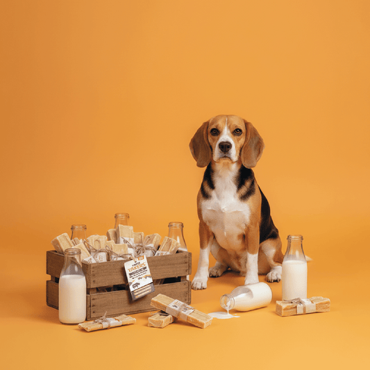 YAKERS Original Dog Chew lifestyle image
