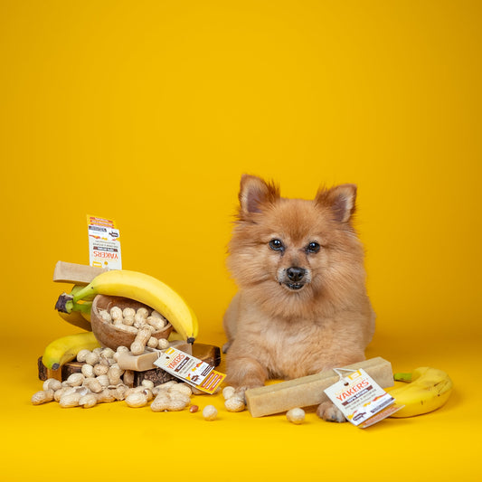 YAKERS Peanut Butter and Banana Dog Chew lifestyle image