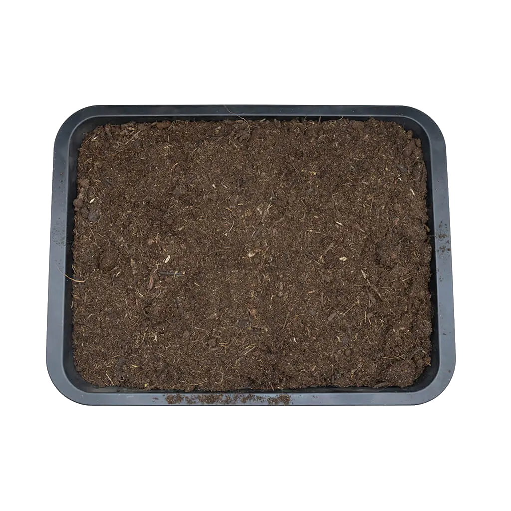 Close overhead view of Arcadia EarthMix Tropical & Forest substrate texture
