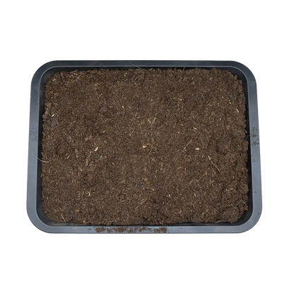Close overhead view of Arcadia EarthMix Tropical & Forest substrate texture
