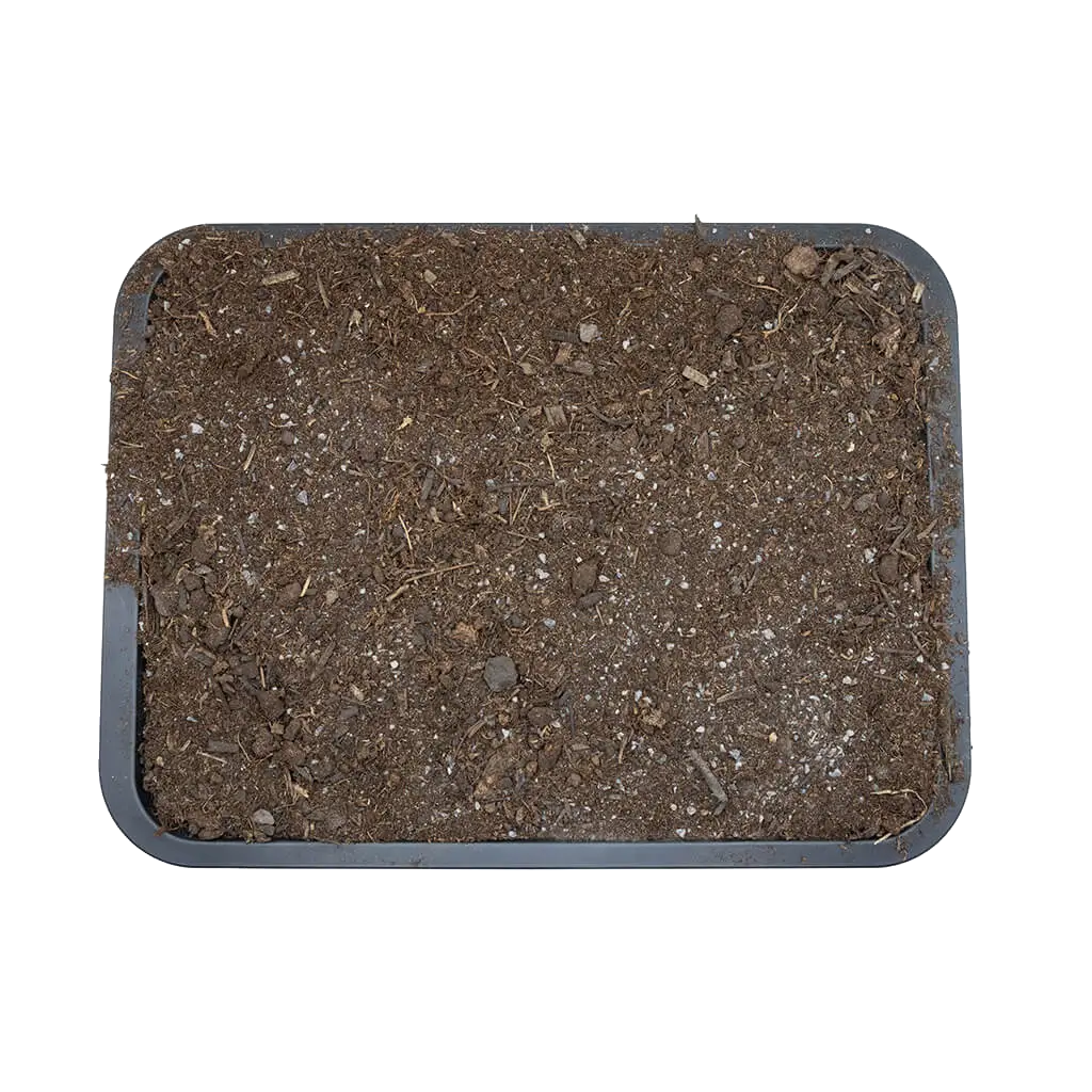 Close overhead view of Arcadia EarthMix Arid substrate texture