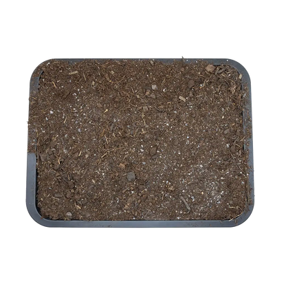 Close overhead view of Arcadia EarthMix Arid substrate texture