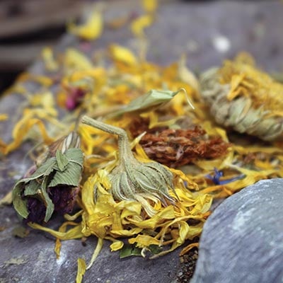 Close view of the dried flowers and petals in Arcadia EarthPro FlowerBoost