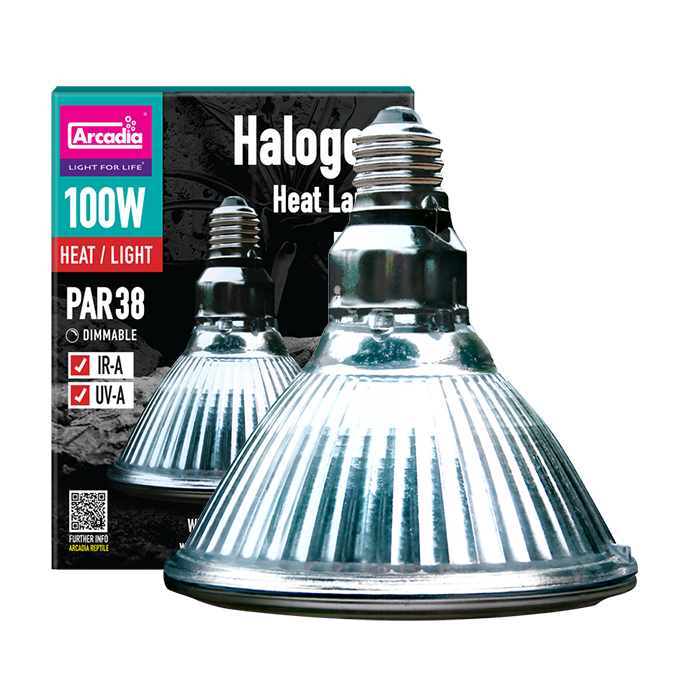 Arcadia Halogen Infrared Heater 100W E27 bulb and retail box, isolated
