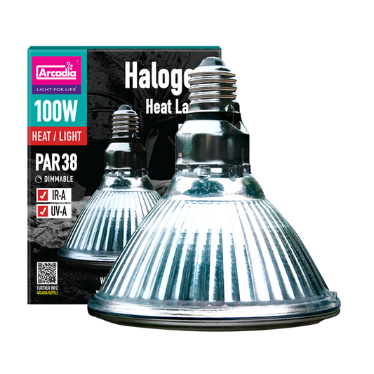 Arcadia Halogen Infrared Heater 100W E27 bulb and retail box, isolated