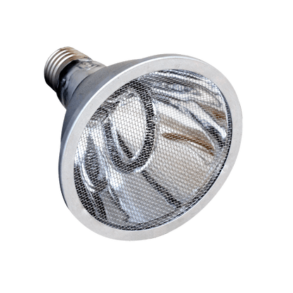 Close front view of an Arcadia deep heat projector bulb