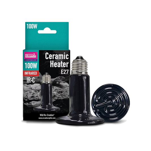 Arcadia Ceramic Heater 100W E27 bulb and retail box, isolated