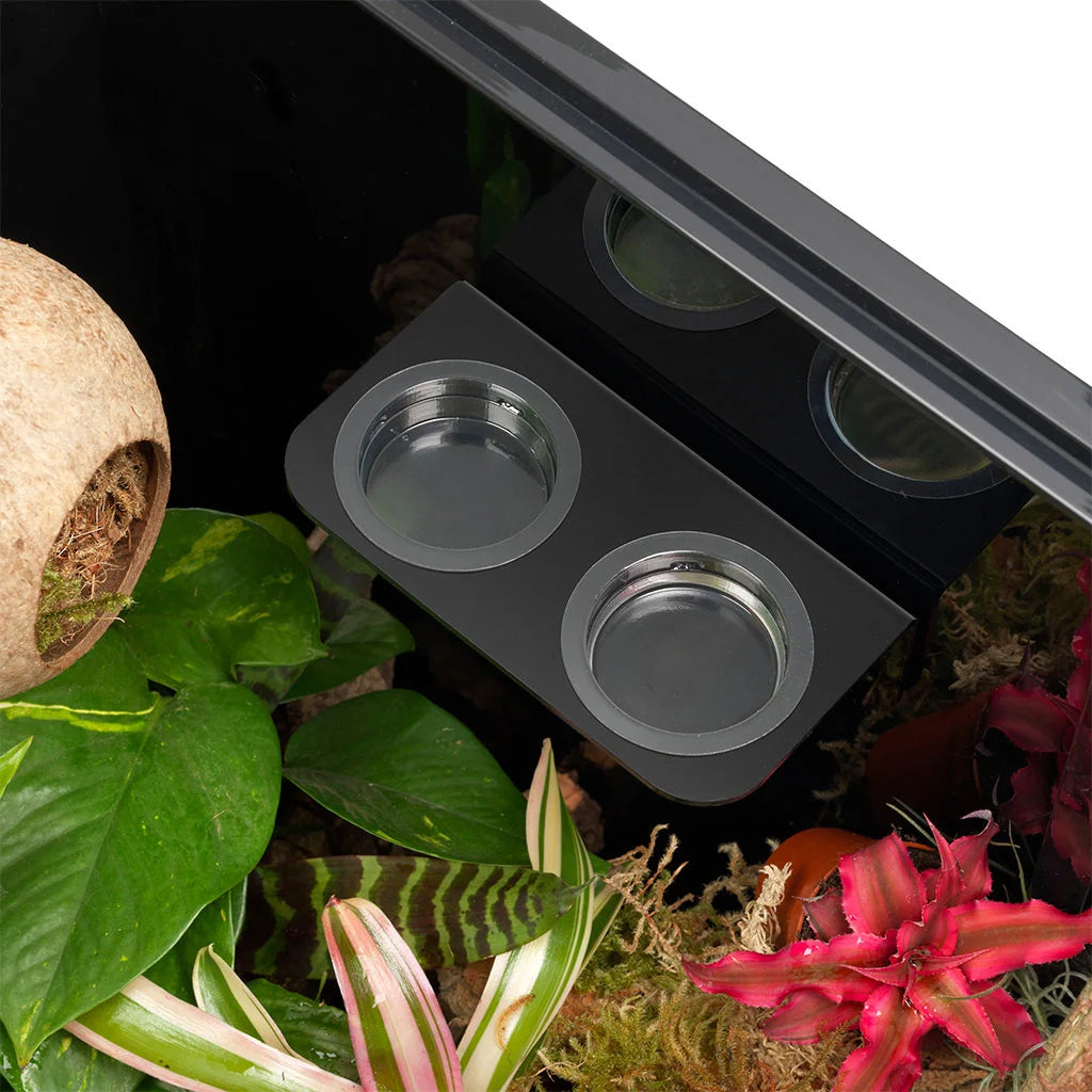 HabiStat double arboreal feeding ledge installed inside a planted glass terrarium