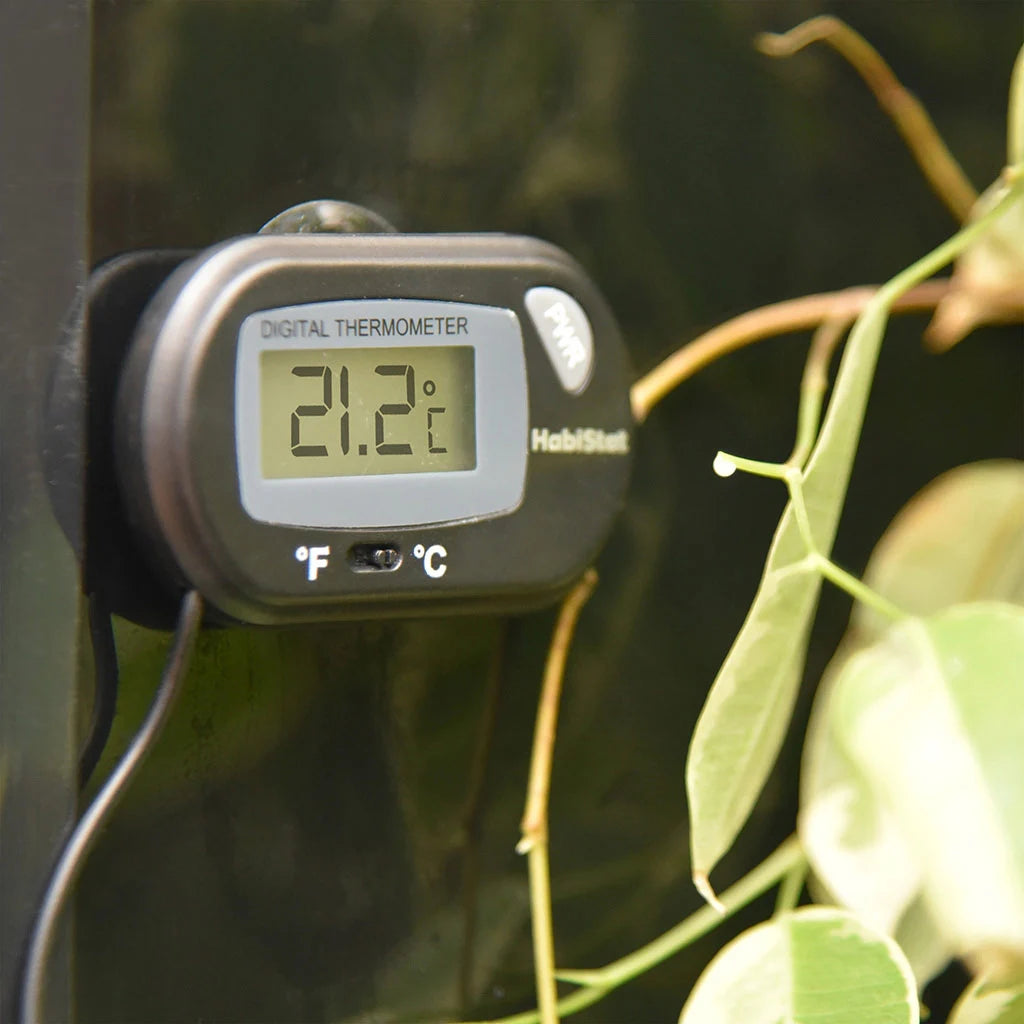 HabiStat Digital Thermometer mounted inside a planted reptile enclosure displaying 21.2 degrees Celsius