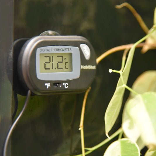 HabiStat Digital Thermometer mounted inside a planted reptile enclosure displaying 21.2 degrees Celsius