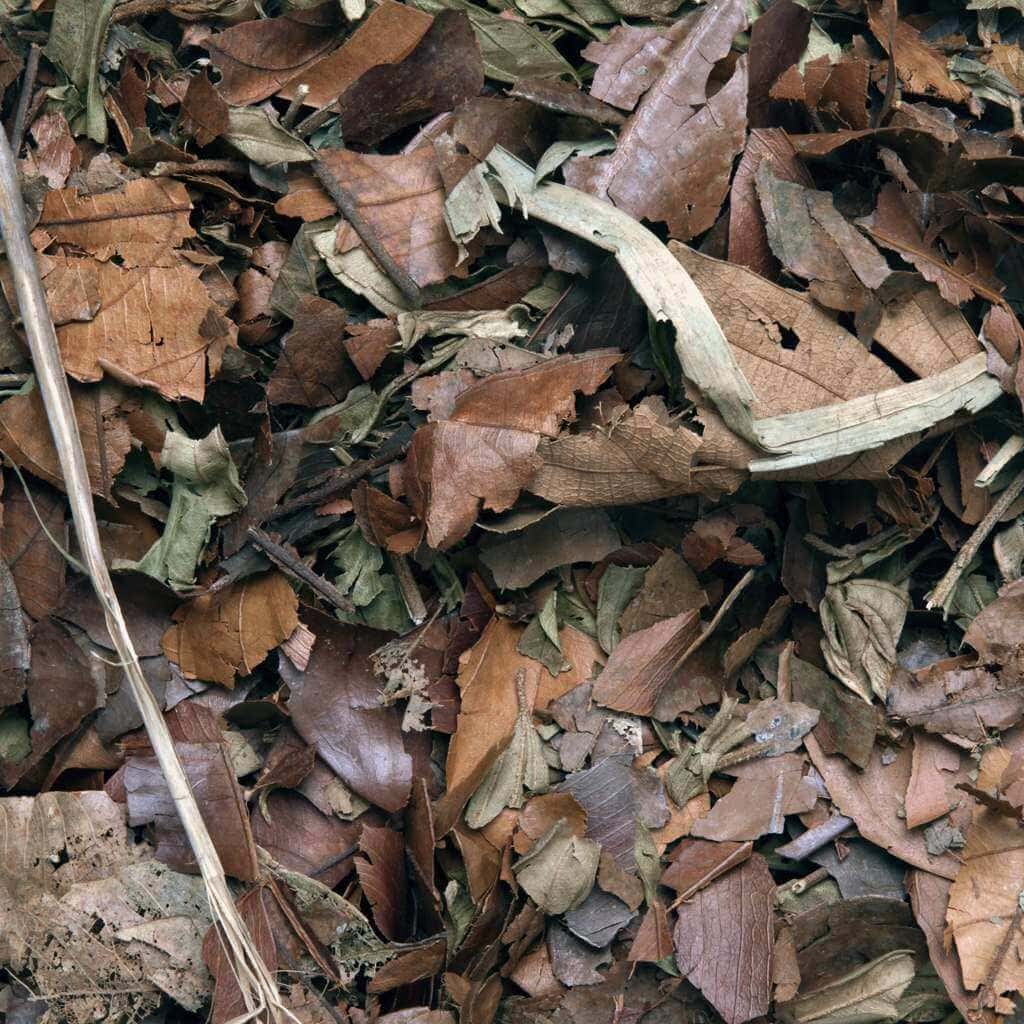 Close view of the mixed dried leaves and natural pieces in HabiStat Mixed Leaf Litter