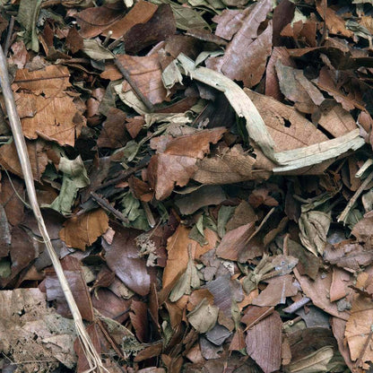 Close view of the mixed dried leaves and natural pieces in HabiStat Mixed Leaf Litter