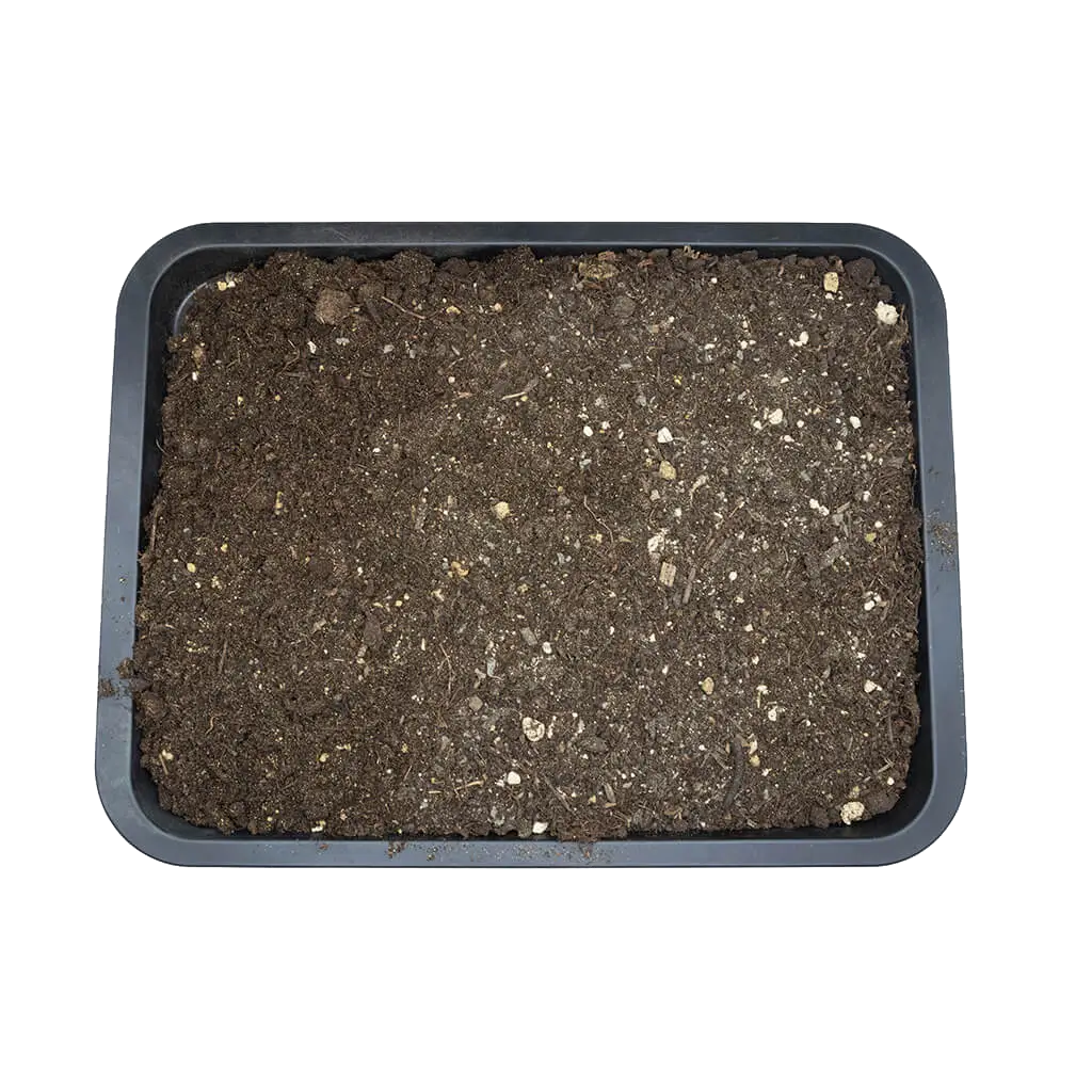 Close overhead view of Arcadia EarthMix Prairie substrate in a black tray