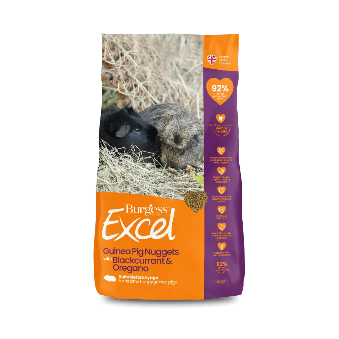 Burgess Excel Guinea Pig Nuggets Blackcurrant and Oregano 1.5kg front pack