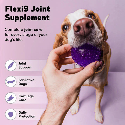 Flexi9 Joint Plus