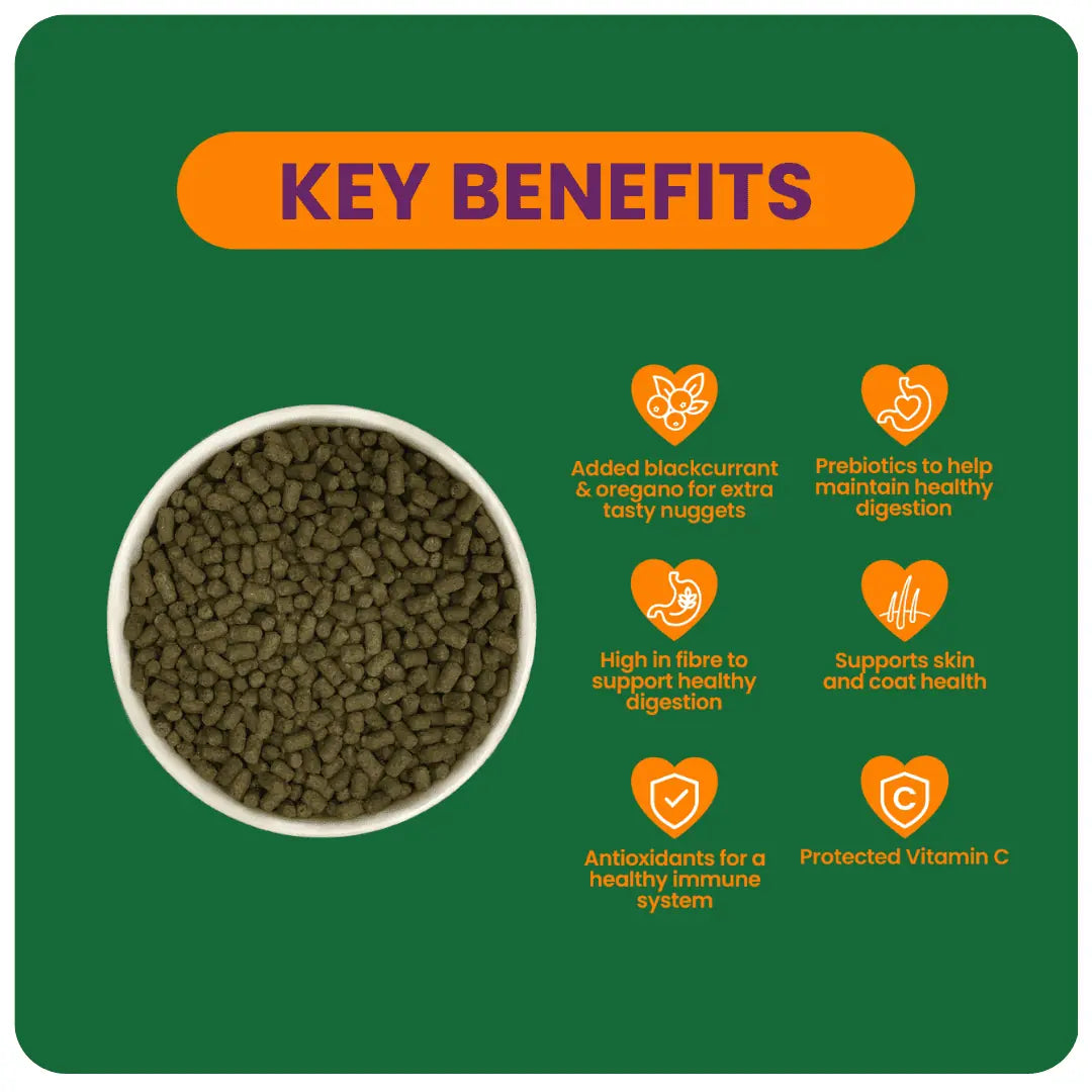 Burgess Excel guinea pig nuggets with blackcurrant and oregano key benefits