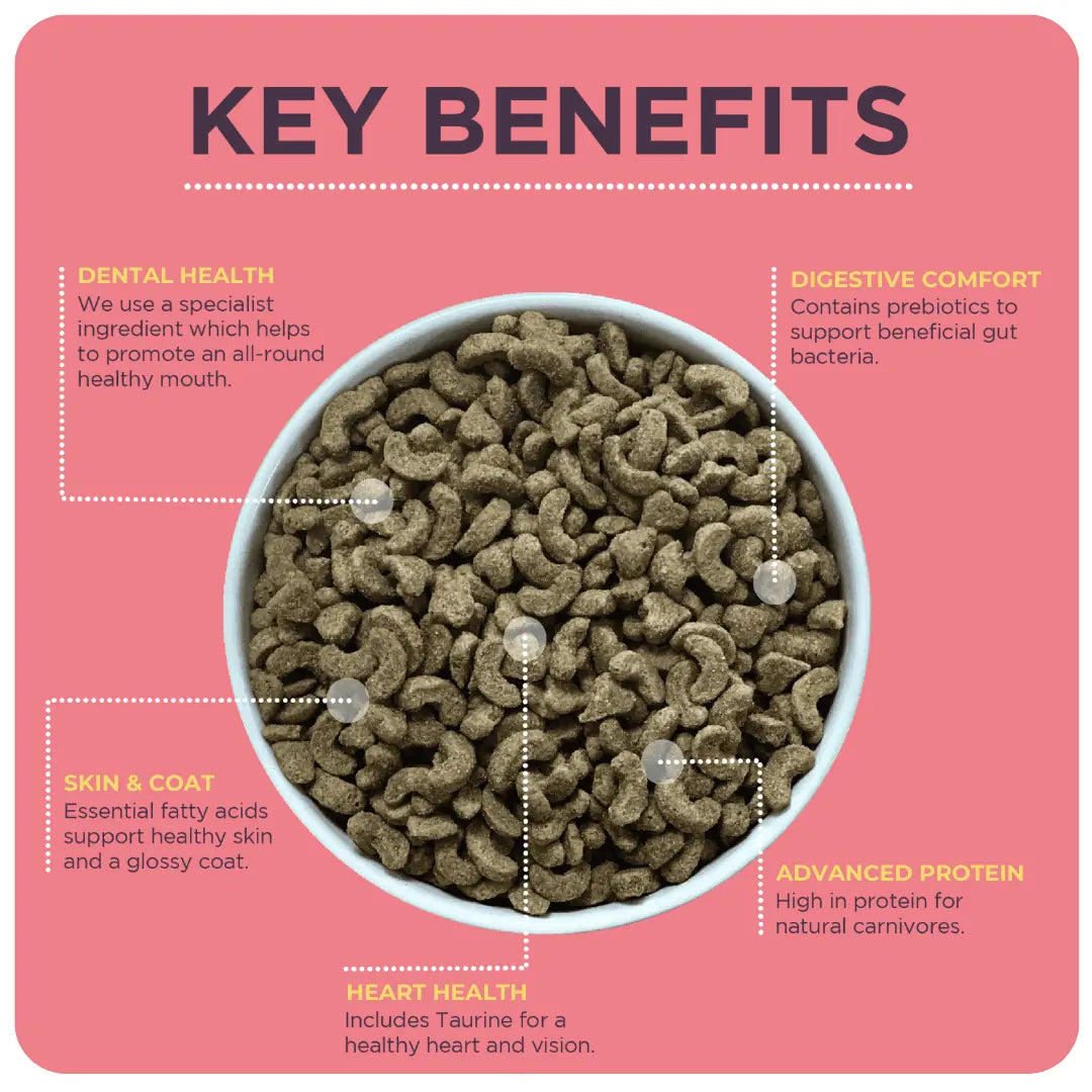 Burgess Adult Cat Chicken with Duck manufacturer key benefits and kibble graphic