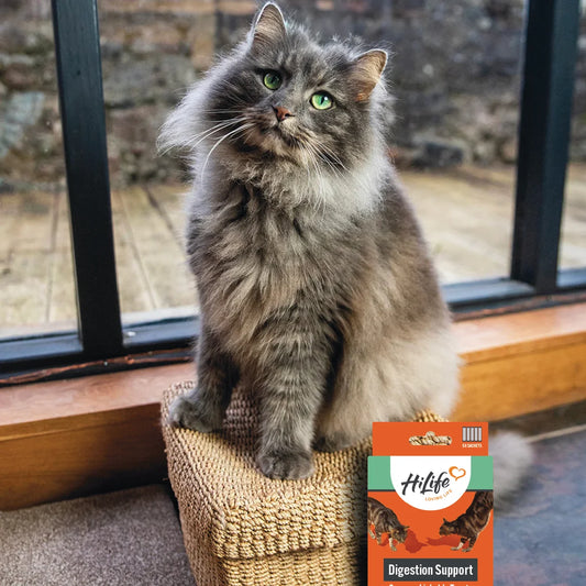 HiLife Digestive Support Lickable Cat Treats