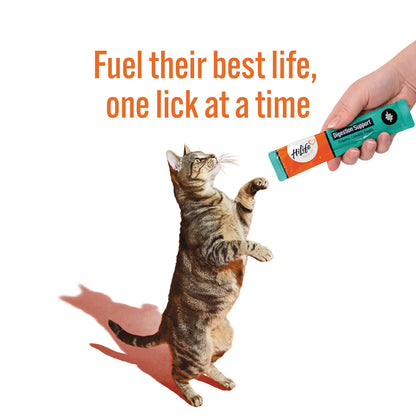 HiLife Digestive Support Lickable Cat Treats