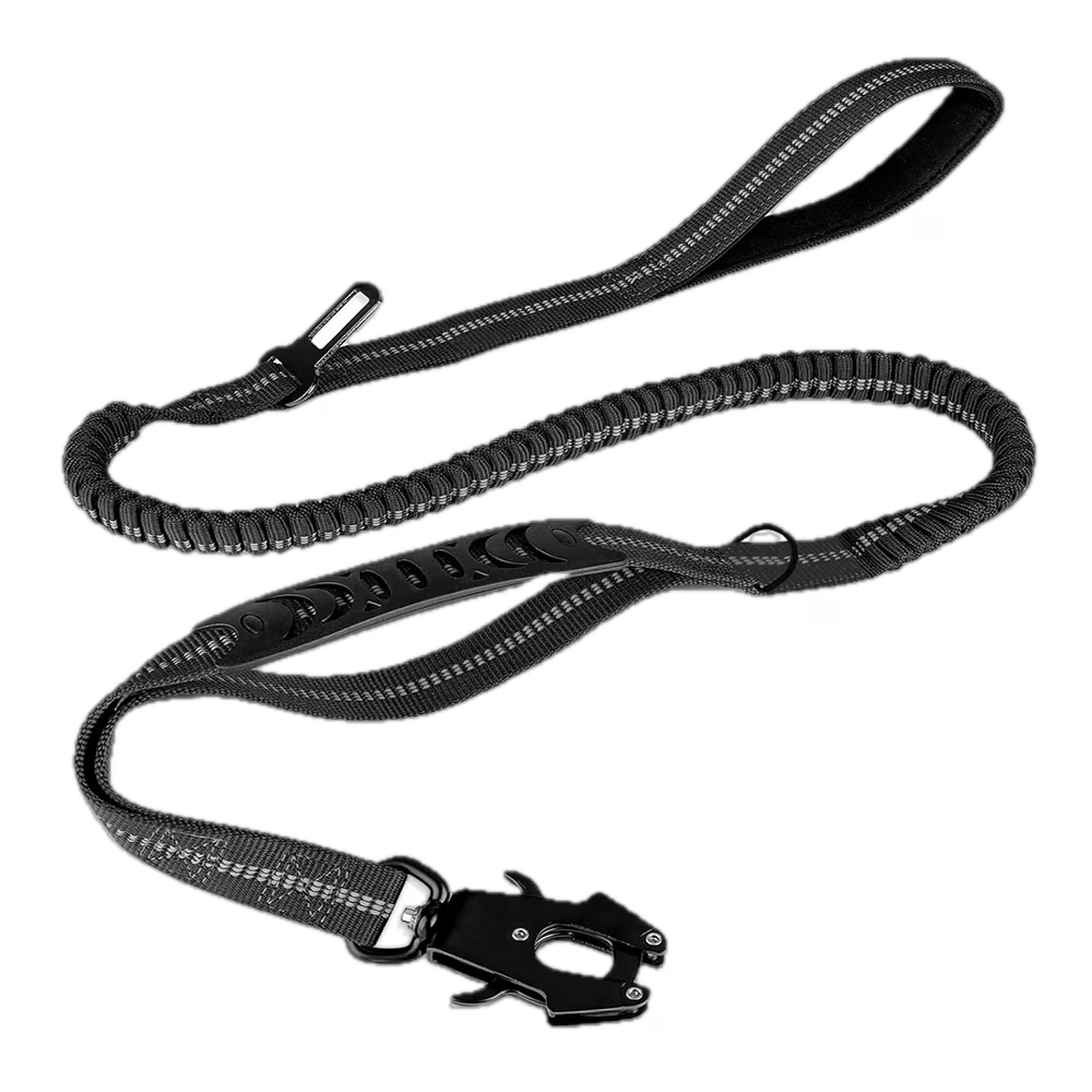 Cargo Bungee Lead