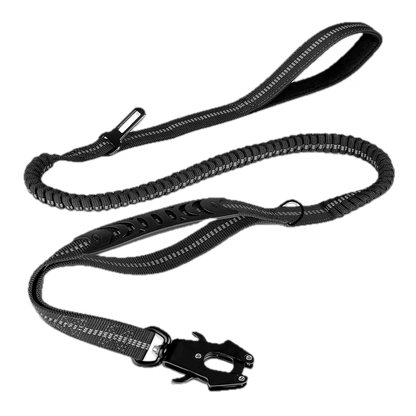 Cargo Bungee Lead