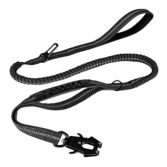 Cargo Bungee Lead