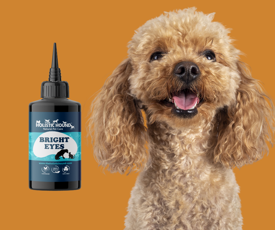 The Holistic Hound Bright Eyes