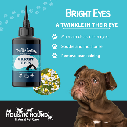 The Holistic Hound Bright Eyes