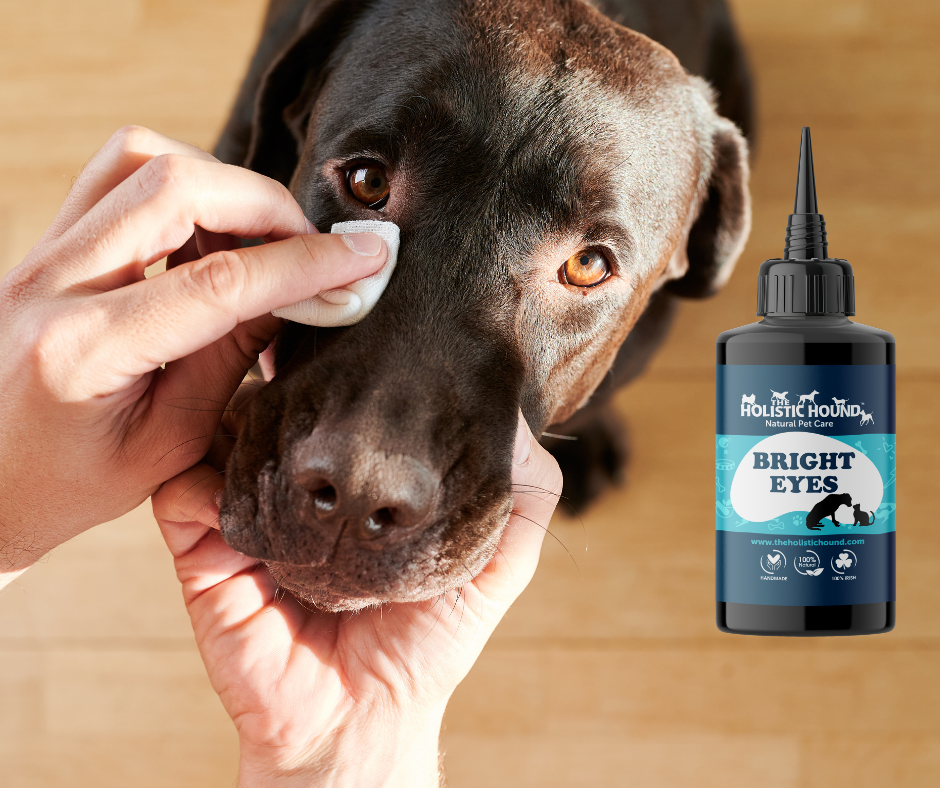 The Holistic Hound Bright Eyes