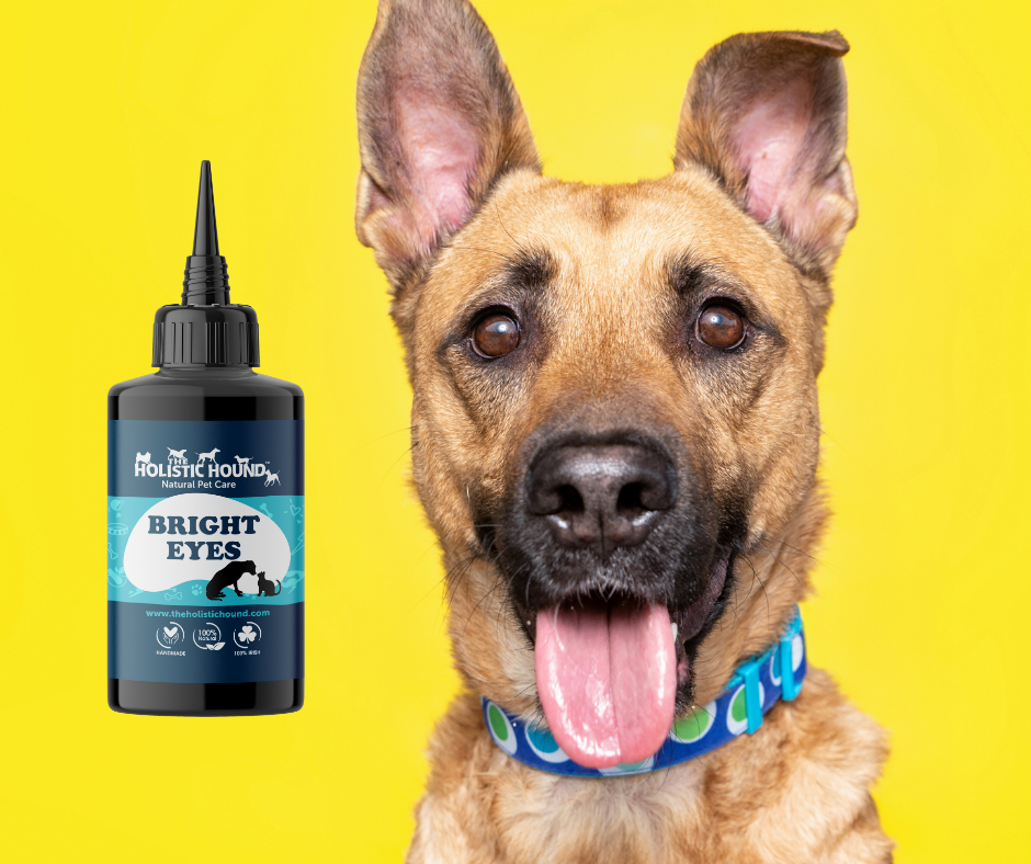 The Holistic Hound Bright Eyes