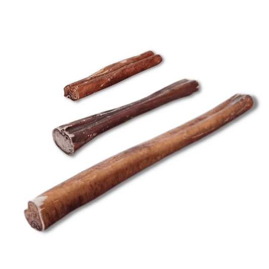 Atlas & Tail Bull Pizzle