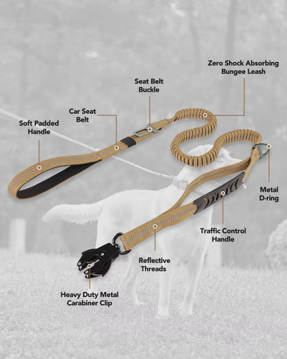 Cargo Bungee Lead