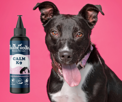The Holistic Hound Calm K9
