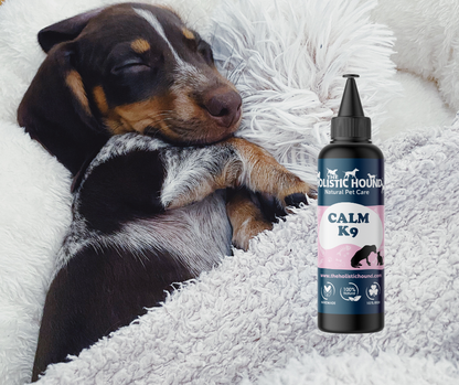 The Holistic Hound Calm K9