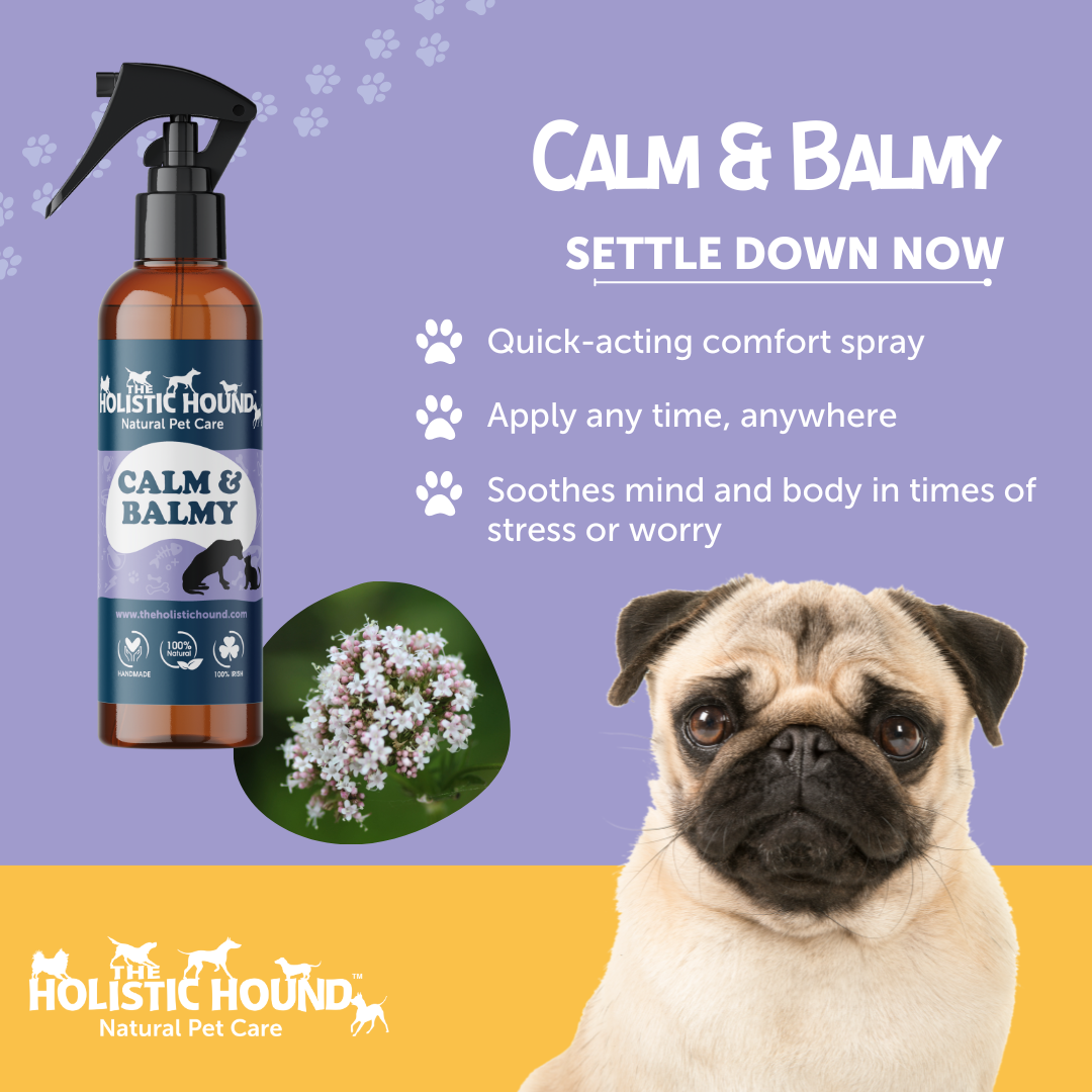 The Holistic Hound Calm & Balmy